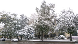 Neue Pinakothek München hinter Schnee-Kulisse